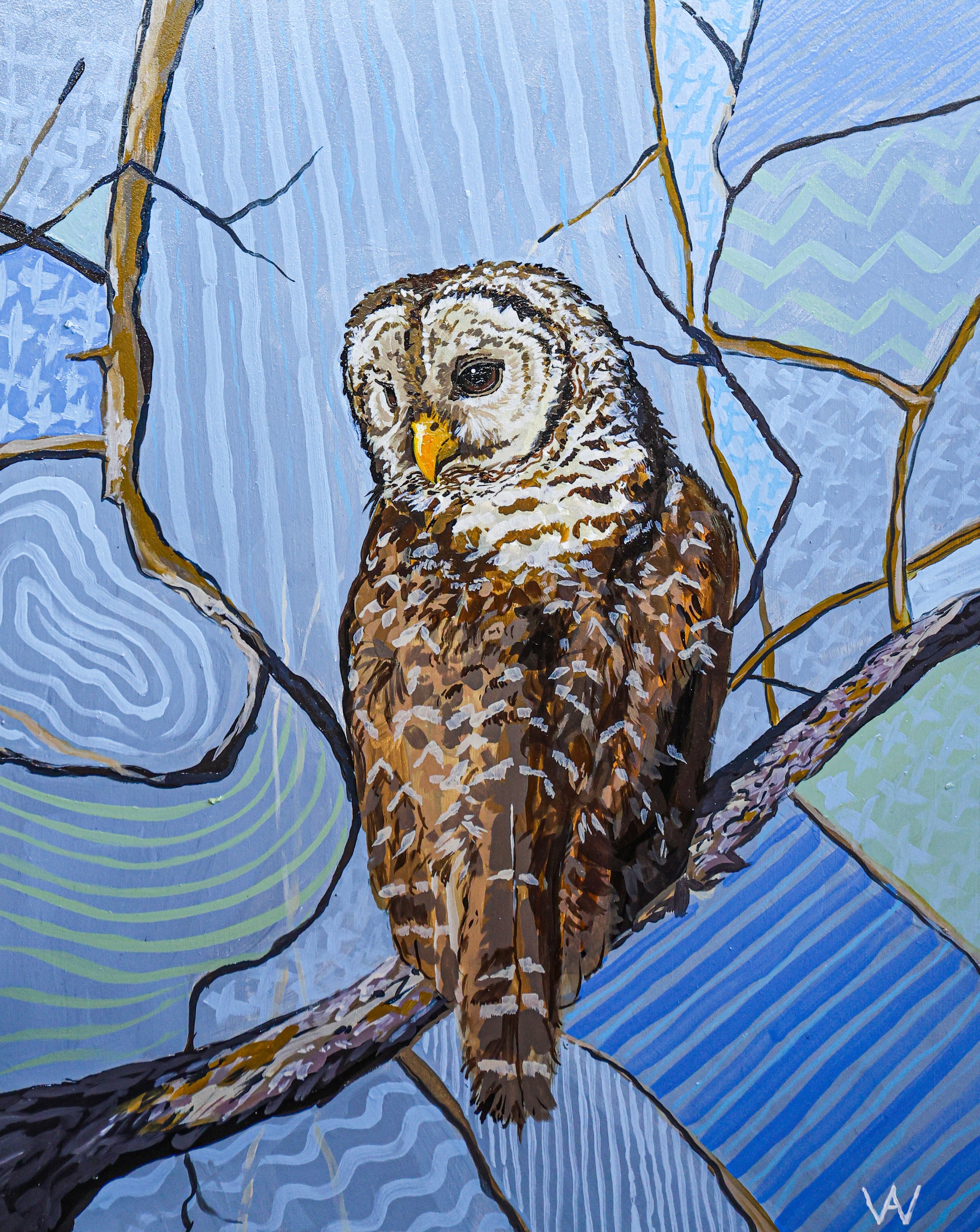 Patternwork Barred Owl