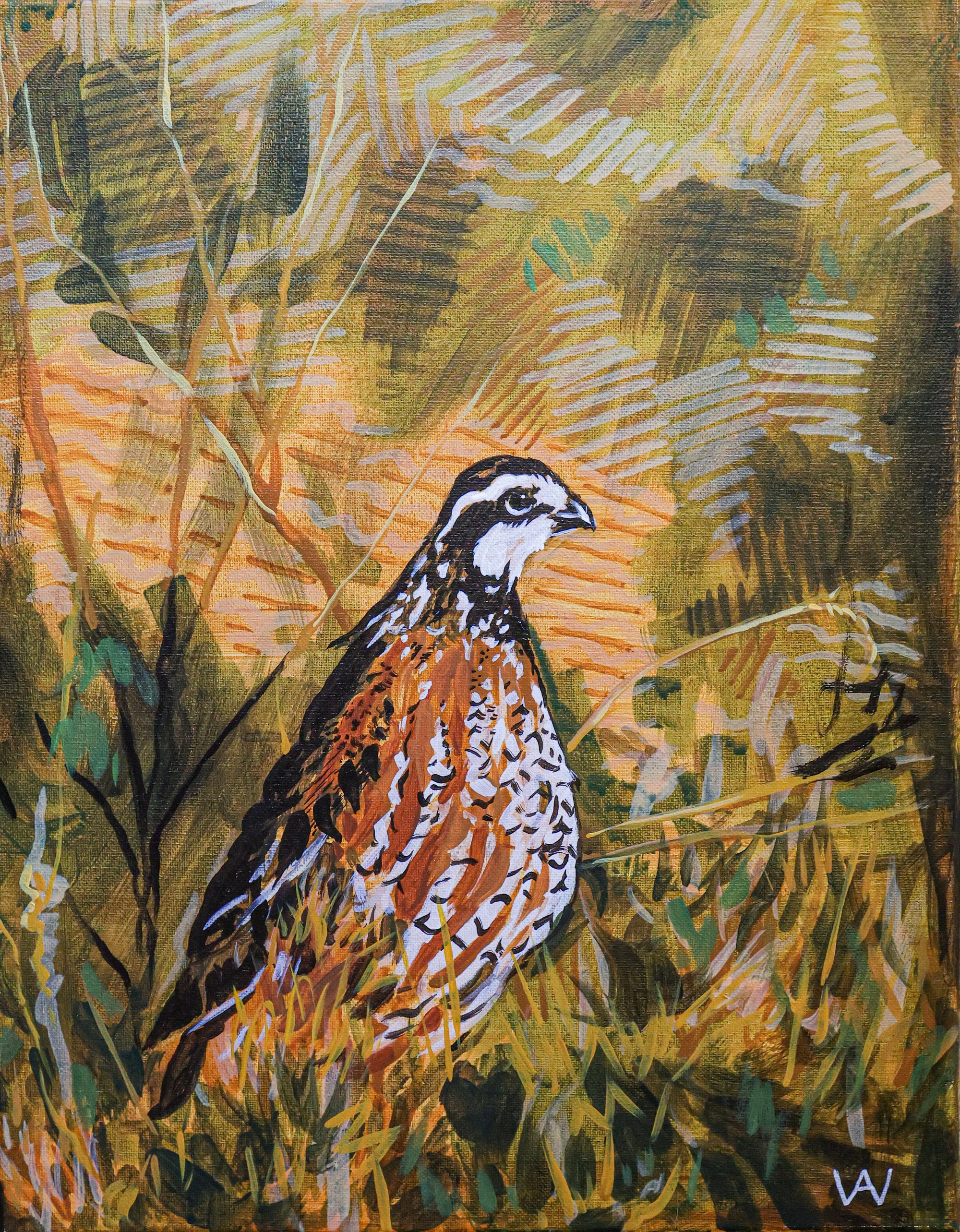 Camouflaged Quail