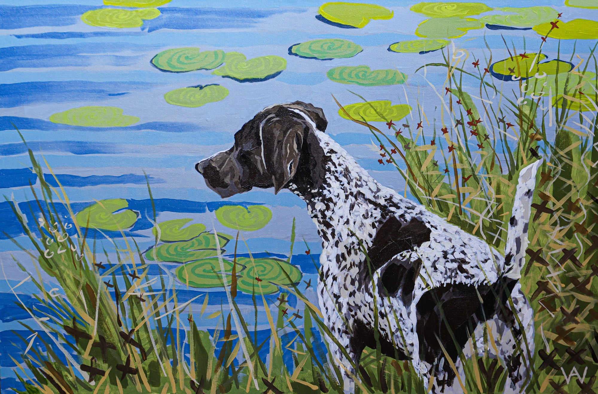 Shorthair Surveying Still Waters