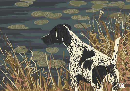 Navy German Shorthair at Pond