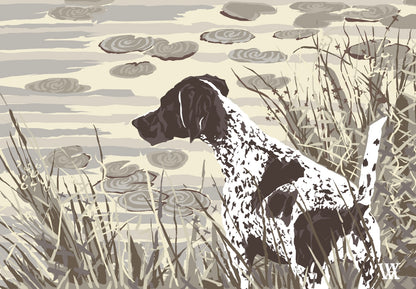 Neutral German Shorthair at Pond