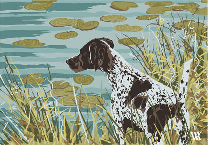 Teal German Shorthair at Pond