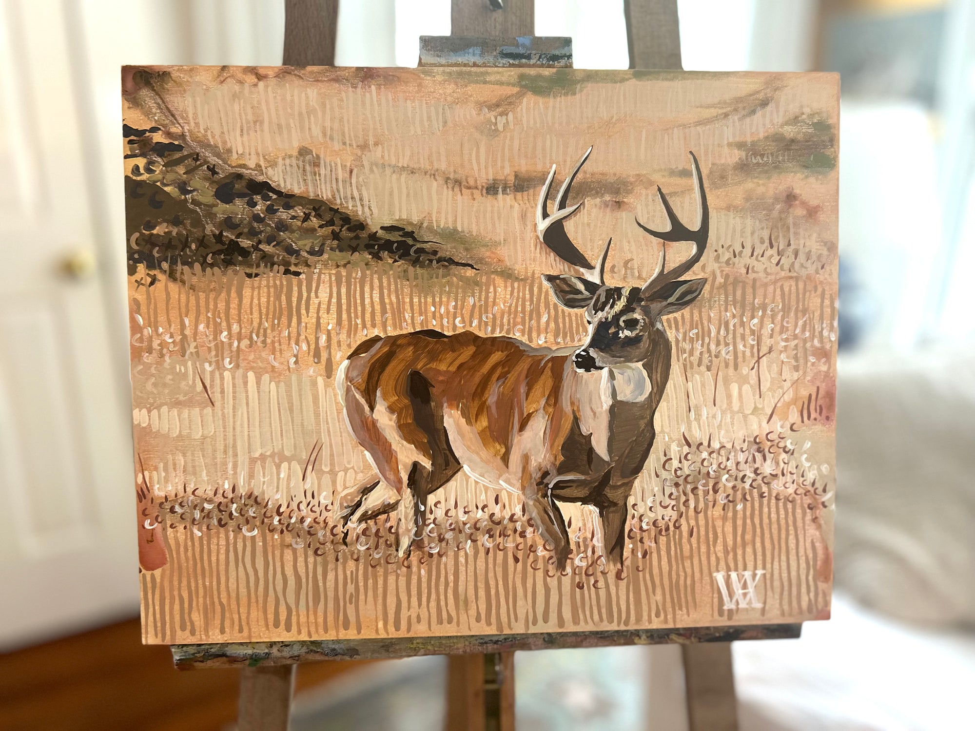 Buck in the Field