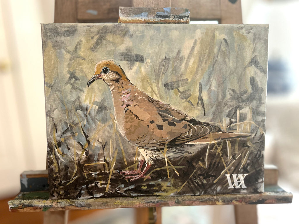 Solitary Mourning Dove
