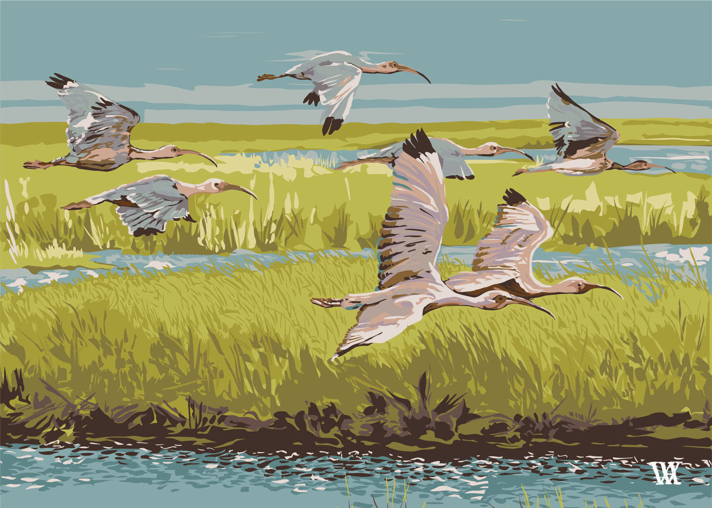 Chartreuse Marsh Flyer