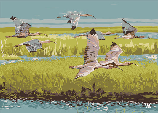 Chartreuse Marsh Flyer