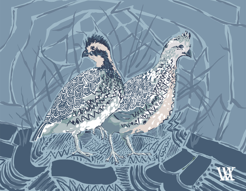 Light Blue Bobwhite Pair | Austin Williams Art | austinwilliamsart.com