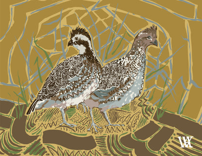 Gold Bobwhite Pair | Austin Williams Art | austinwilliamsart.com