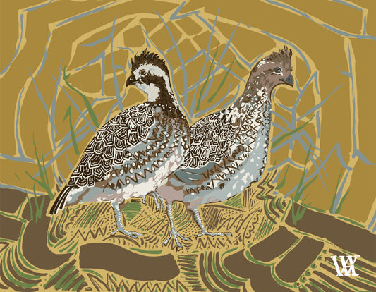 Gold Bobwhite Pair | Austin Williams Art | austinwilliamsart.com