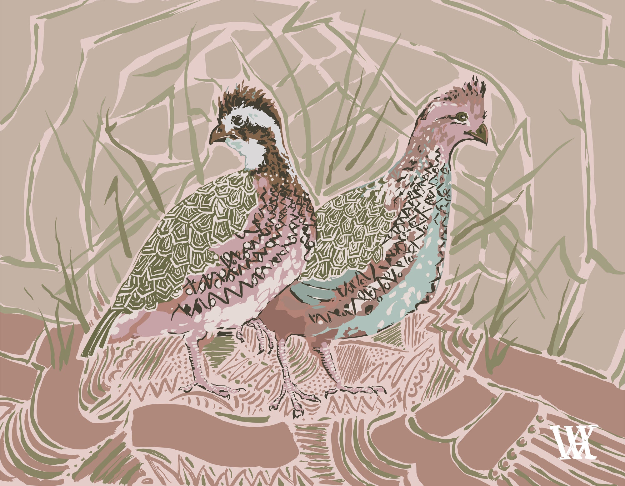 Pink Bobwhite Pair | Austin Williams Art | austinwilliamsart.com