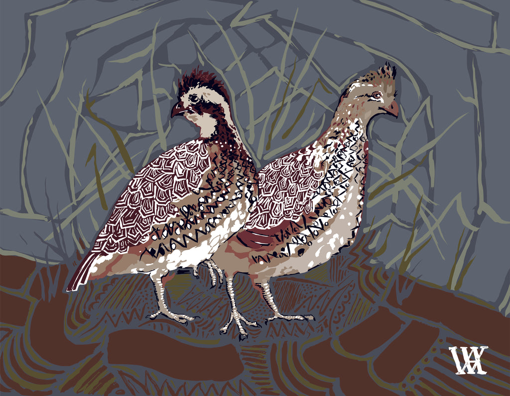 Slate Bobwhite Pair | Austin Williams Art | austinwilliamsart.com
