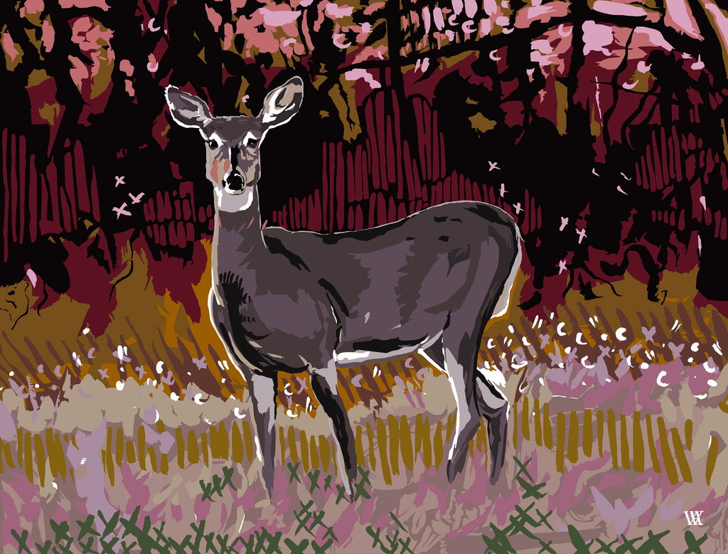 Dusty Rose Alert at Golden Hour